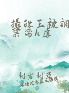 摄政王被调教成禁脔h虐