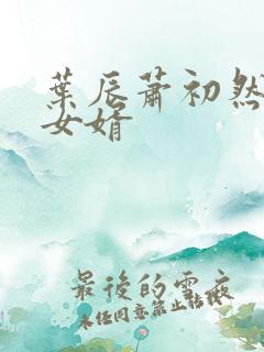 叶辰萧初然上门女婿