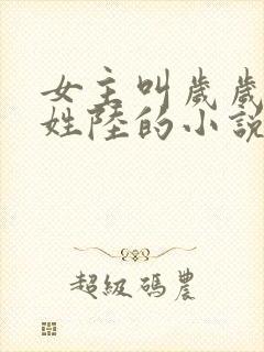 女主叫岁岁男主姓陆的小说