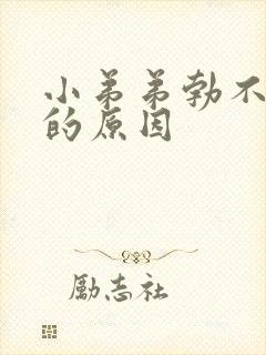 小弟弟勃不起来的原因