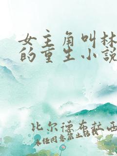 女主角叫林清婉的重生小说