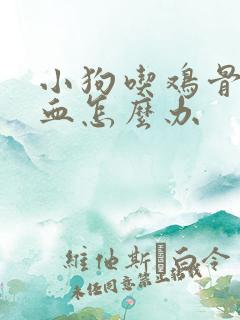 小狗吃鸡骨头拉血怎么办