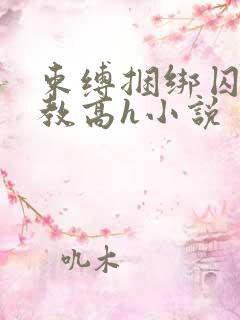 束缚捆绑囚禁调教高h小说