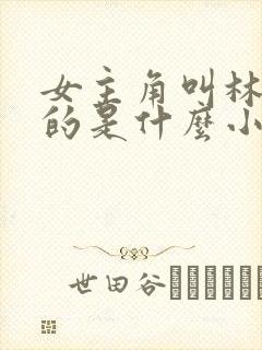 女主角叫林知夏的是什么小说