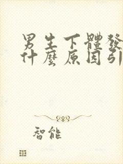 男生下体发炎是什么原因引起的