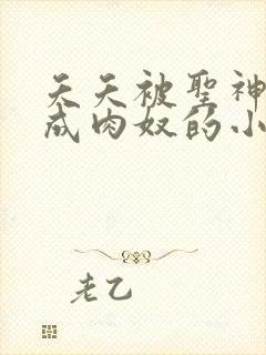 夭夭被圣神调教成肉奴的小说