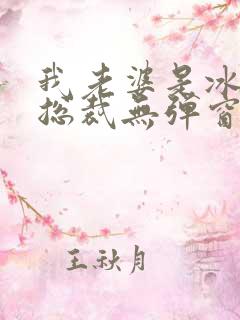 我老婆是冰山女总裁无弹窗