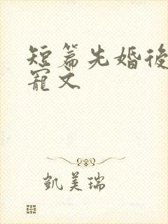 短篇先婚后爱甜宠文