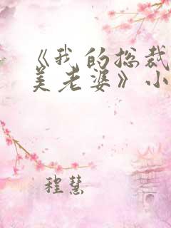 《我的总裁白富美老婆》小说