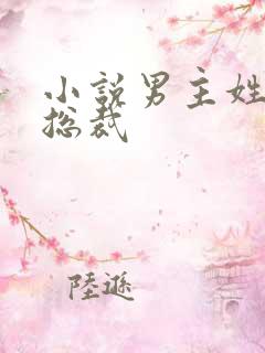 小说男主姓慕的总裁