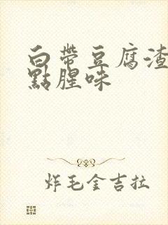 白带豆腐渣状有点腥味