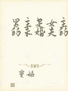 男主是女主姑姑的未婚夫的小说