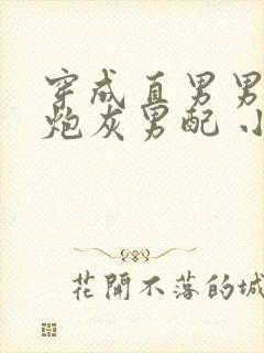 穿成直男男主的炮灰男配 小说免费阅读