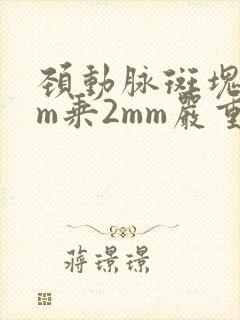 颈动脉斑块5mm乘2mm严重吗