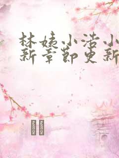 林姨小浩小说最新章节更新