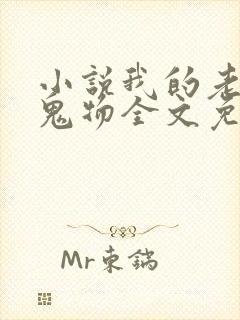 小说我的老公是鬼物全文免费阅读