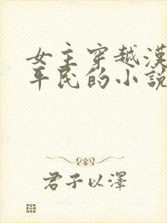 女主穿越汉朝是平民的小说