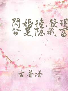 闪婚后,发现老公是隐藏富豪