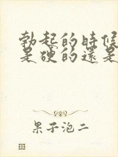 勃起的时候龟头是硬的还是软的