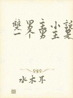 双男主小说其中一个男主是鬼