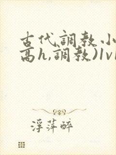 古代调教小说(高h,调教)1v1