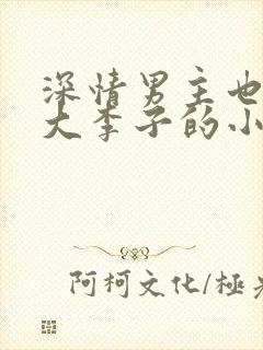 深情男主也出轨大李子的小说