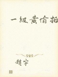 一级黄偷拍