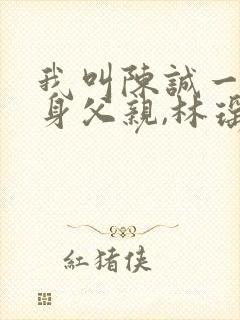 我叫陈诚一个单身父亲,林瑶小说免费阅读