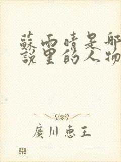 苏雨晴是哪部小说里的人物