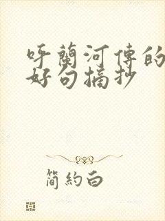 呼兰河传的好词好句摘抄