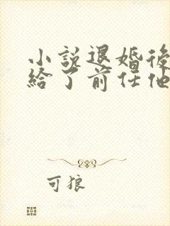 小说退婚后我嫁给了前任他叔