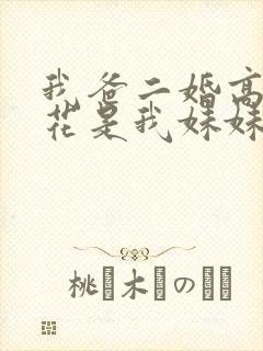 我爸二婚高冷校花是我妹妹