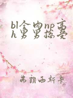 bl全肉np高h男男总受