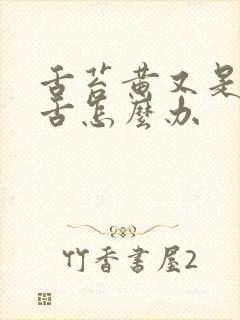 舌苔黄又是齿痕舌怎么办