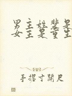 男主姓裴是首辅女主是重生的古言