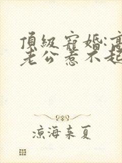 顶级宠婚:高冷老公惹不起免费阅读正版