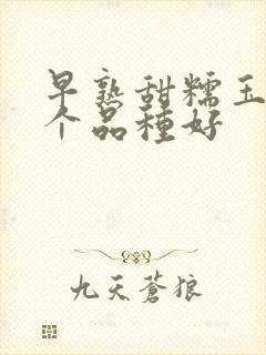 早熟甜糯玉米哪个品种好