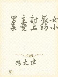 男主讨厌女主后来爱上的小说