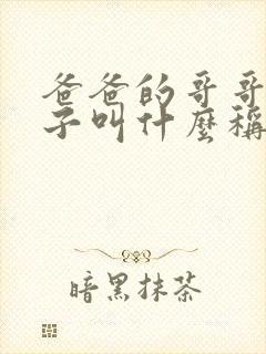 爸爸的哥哥的妻子叫什么称呼