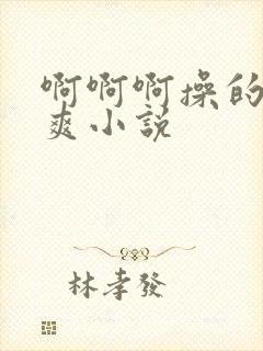 啊啊啊操的我好爽小说