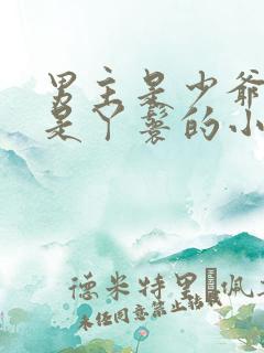 男主是少爷女主是丫鬟的小说