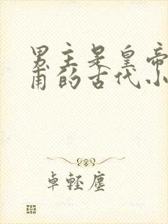 男主是皇帝姓皇甫的古代小说