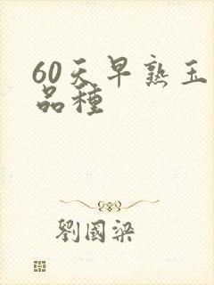 60天早熟玉米品种