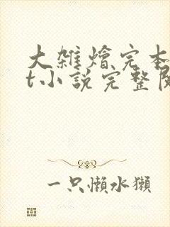 大杂烩完本txt小说完整阅读