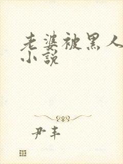 老婆被黑人操的小说