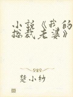 小说《我的美女总裁老婆》