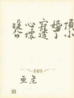 暖心宠婚顶级老公坏透了小说免费