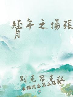经年之伤张勇李月