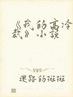 《我的高冷女总裁》小说