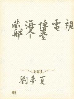 藏海传电视剧在哪个台